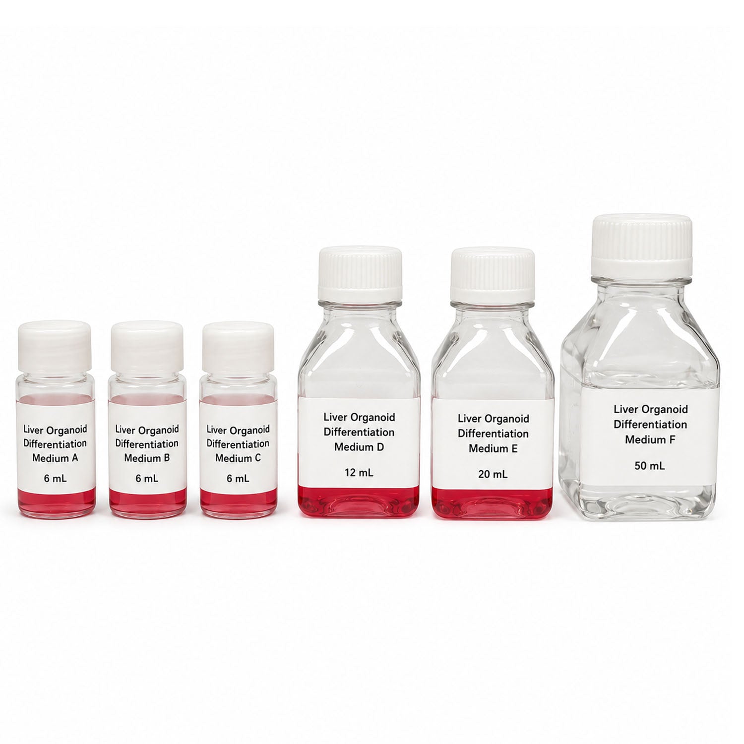 XR Liver Organoid Differentiation Kit with media A through F for human iPSC liver organoid culture