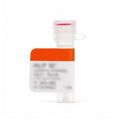 Rat Vascular Endothelial Growth Factor-165 (VEGF-165) - Animal Free