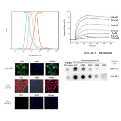 Aptamer Screening Experimental Kit