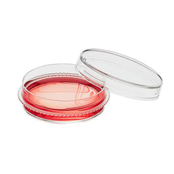 100x20 mm Cell Culture Dish NonTreated with Grip Ring Sterile Biofargo