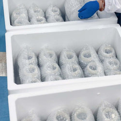 Rebeads CfDNA Special D Cell-Free DNA Extraction Magnetic Beads