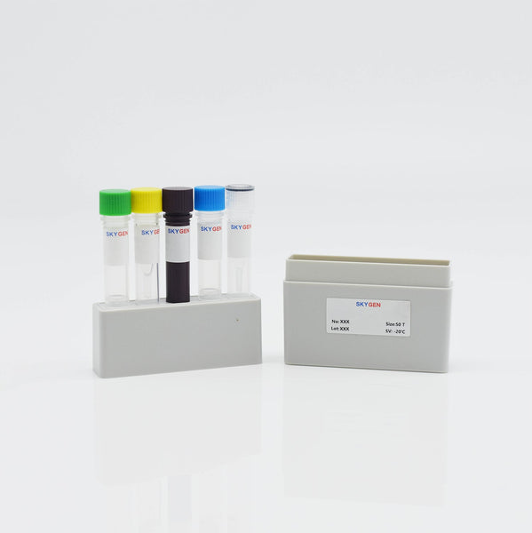Viral Gastroenteritis Virus qRT-PCR Kit | High-Sensitivity Multiplex ...