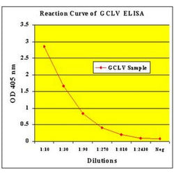 Garlic Common Latent Virus (GCLV) ELISA Kit