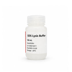 SDS Lysis Buffer AP0761 strong protein extraction buffer for Western blot and SDS-PAGE