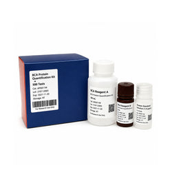 BCA Protein Quantification Kit Components Including BCA Reagent A, Reagent B and Protein Standard