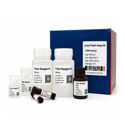 Lowry Protein Assay Kit for total protein quantification with BSA standard