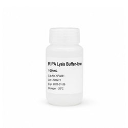 RIPA Lysis Buffer-low mild protein extraction buffer for cell and tissue protein lysis