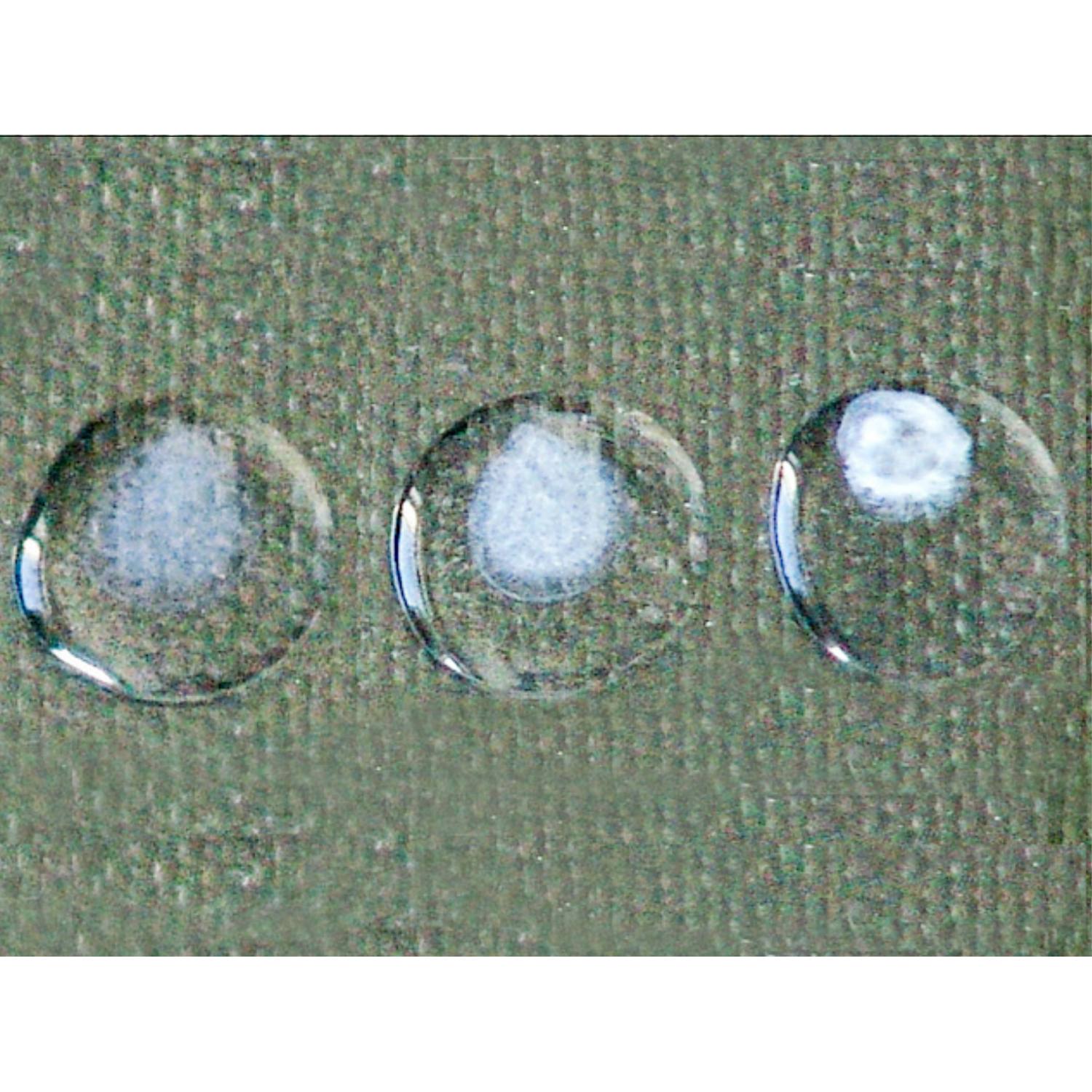 Pandy’s Reagent for Cerebrospinal Fluid (CSF) Protein Screening