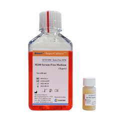 GF20 MSC Xeno-Free SFM-SuperCulture™ - Biofargo - 