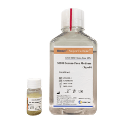 GF20 MSC Xeno-Free SFM-SuperCulture™ - Biofargo - 