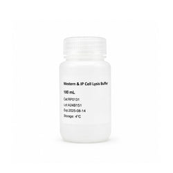 100 mL Western and IP Cell Lysis Buffer for immunoprecipitation and Western blot protein extraction
