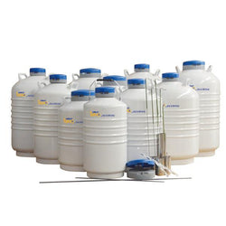 CryoKING Liquid Nitrogen Tank Static Storage Series 31.5 L Include 6 canisters-Biologix - Biofargo - 