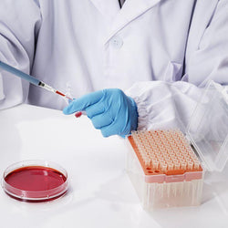 20 µL Universal Low Retention Filter Pipette Tips, Sterile Boxed 96/Rack - Biofargo 800709 - image 1