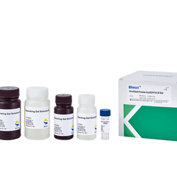 New Flash Protein AnyKD PAGE Kit-Biosci™ - Biofargo - 