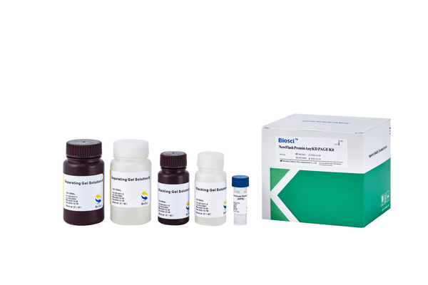 New Flash Protein AnyKD PAGE Kit-Biosci™ - Biofargo