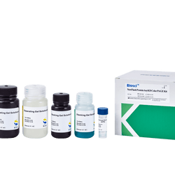 NewFlash Protein AnyKD Color PAGE Kit-Biosci™ - Biofargo - 