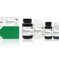 NewFlash Protein Low MW PAGE Gel - Biosci™ - Biofargo - 