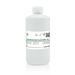 Fast Western Blot Transfer Buffer 10× - Biosci™ - Biofargo - 