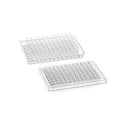 200μL 96 Well PCR Plate - Semi-Skirted - A12 - Clear - Black Lettering - Cellprobio - Biofargo - 