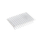 200μL 96 Well PCR Plate - Non-Skirted - H1- Clear - Black Lettering - Cellprobio - Biofargo - 