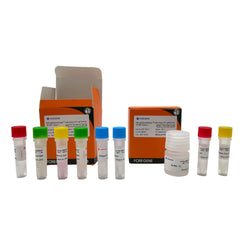 (96-well) QuickEasy™ Cell Direct RT-qPCR Kit–SYBR Green I