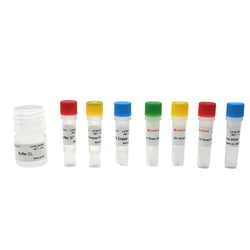(96-well) QuickEasy™ Cell Direct RT-qPCR Kit–TaqMan DRT-02021