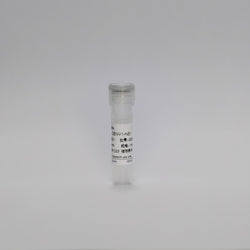 Recombinant Dengue Virus 1-NS1 Protein (DENV1-NS1)