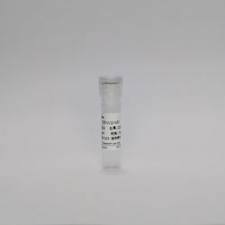 Recombinant Dengue Virus 2-NS1 Protein (DENV2-NS1)