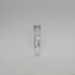 Recombinant Dengue Virus 3-NS1 Protein (DENV3-NS1)