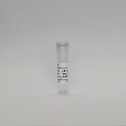 Recombinant Dengue Virus 4-NS1 Protein (DENV4-NS1)