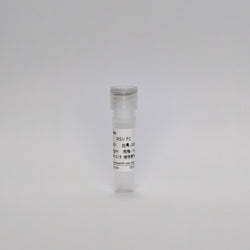 Recombinant Respiratory Syncytial Virus Protein (RSV F0)