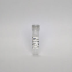 Recombinant HMPV Matrix Protein