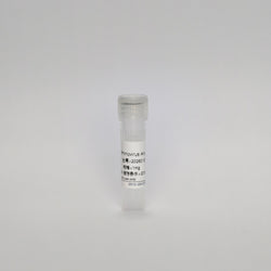 Recombinant RhV Antigen