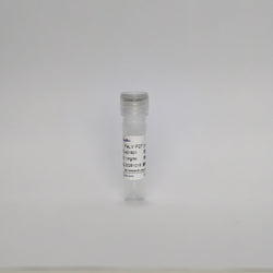 Recombinant FeLV P27