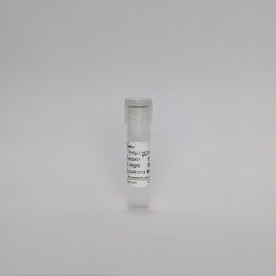 Recombinant FHV-1 gD