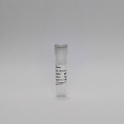 Recombinant Adv HEXON