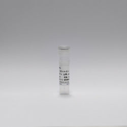 Recombinant Dengue Virus4-E Protein (DENV4-EnV)