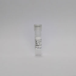 Recombinant CHIKV E1 fragment ED3