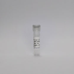 Recombinant Human IL-6