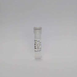 Recombinant MPXV M1R Protein