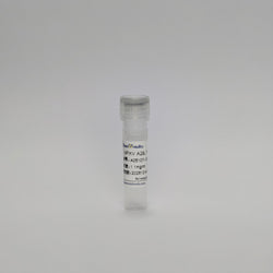 Recombinant MPXV A29L Protein