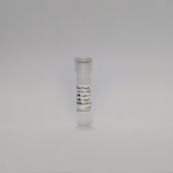 Recombinant MPXV A35R Protein