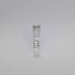 Recombinant S100-β Protein (S100β)