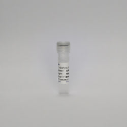 Recombinant VEGF