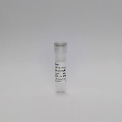 Recombinant HPIV3 NP