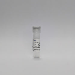 Recombinant HPIV2 NP