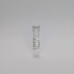 Recombinant Rotavirus Protein (NoV GI VP1)