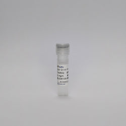 Recombinant NoV GII-4 VP1