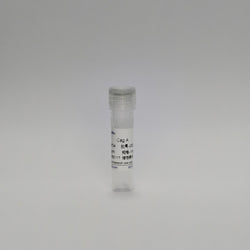 Recombinant Cag A Protein (Cag A)