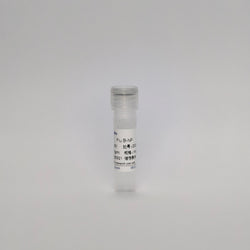 Recombinant Influenza B Protein (Flu B-NP)